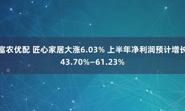 富农优配 匠心家居大涨6.03% 上半年净利润预计增长43.70%—61.23%