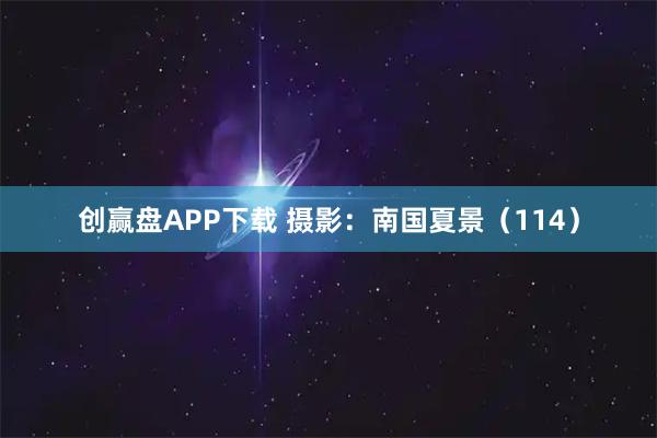 创赢盘APP下载 摄影：南国夏景（114）