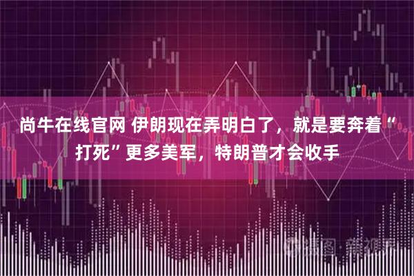 尚牛在线官网 伊朗现在弄明白了，就是要奔着“打死”更多美军，特朗普才会收手